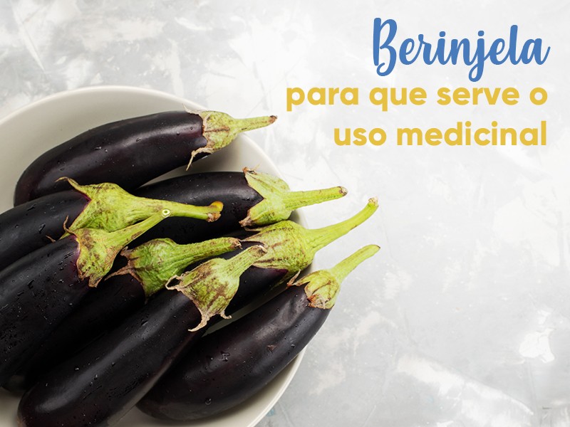 Berinjela: para que serve o uso medicinal